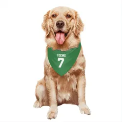 Colorado Avalanche Devon Toews Green Pet Bandana for Dog & Cat