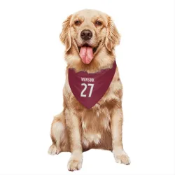 Colorado Avalanche John Wensink Burgundy Pet Bandana for Dog & Cat