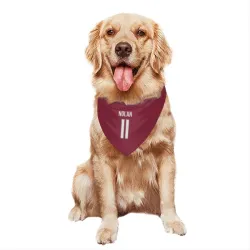 Colorado Avalanche Owen Nolan Burgundy Pet Bandana for Dog & Cat