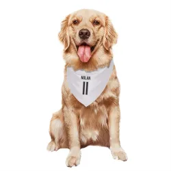 Colorado Avalanche Owen Nolan White Pet Bandana for Dog & Cat