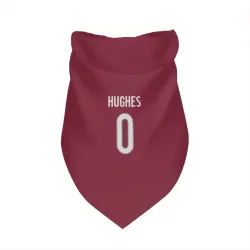 Colorado Avalanche T.J. Hughes Burgundy Pet Bandana for Dog & Cat