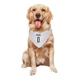 Colorado Avalanche T.J. Hughes White Pet Bandana for Dog & Cat